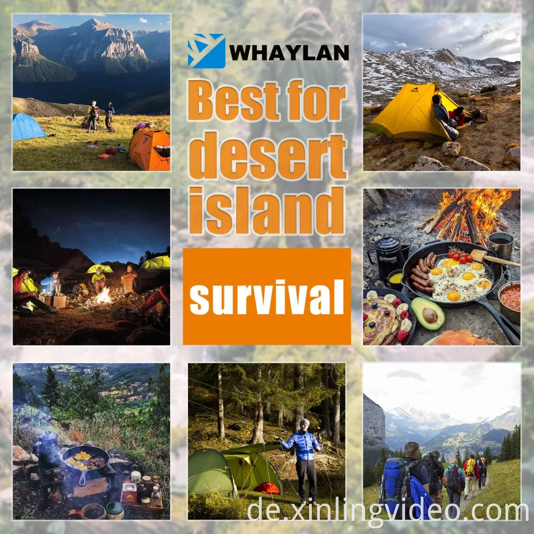 Whaylan 300W Outdoor Camping Solar Generator LifePO4 Batterie Tragbares Solarkraftwerk